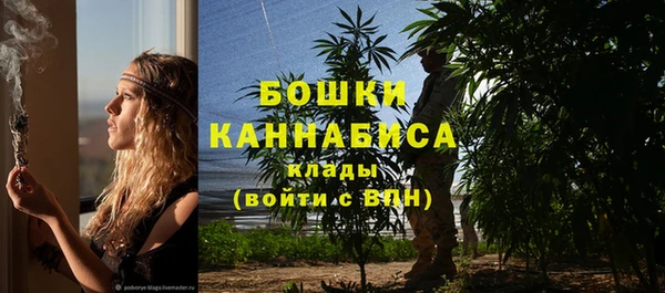 ГАЛЛЮЦИНОГЕННЫЕ ГРИБЫ Лабытнанги